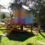 WhatsApp Image 2026-02-11 at 08.52.09 (1)