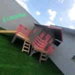 WhatsApp Image 2026-02-11 at 08.52.13 (1)