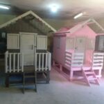 WhatsApp Image 2026-02-11 at 08.52.15